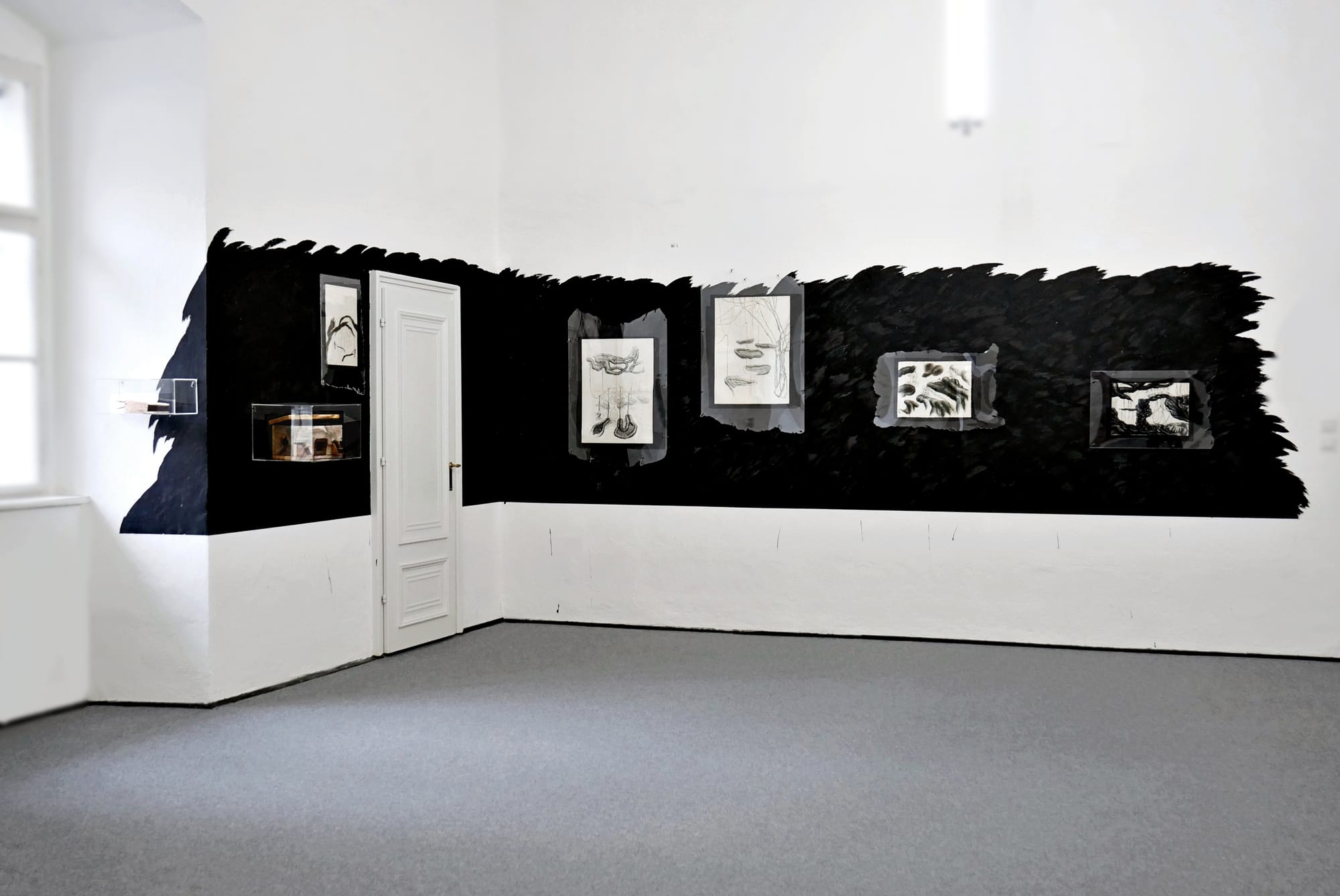  katharina hoffmann Dominika trapp artist Esterhazy palace exhibition view 2024