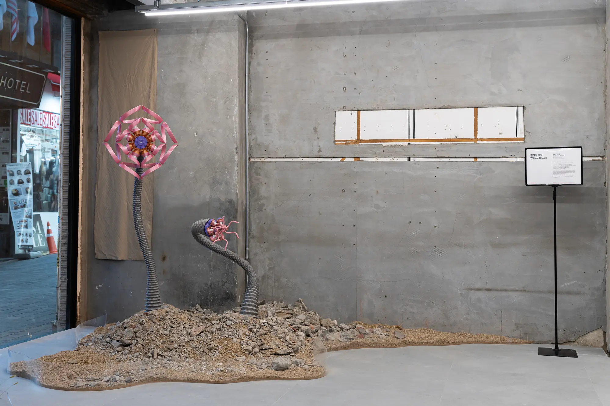 william darrell, artist, installation