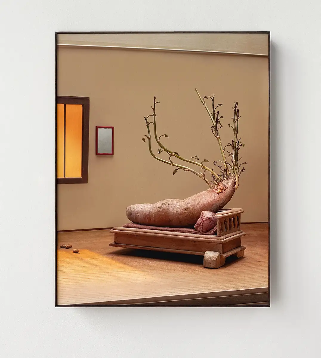 Tobias Izsó photo of a potato ling on a chaise lounge