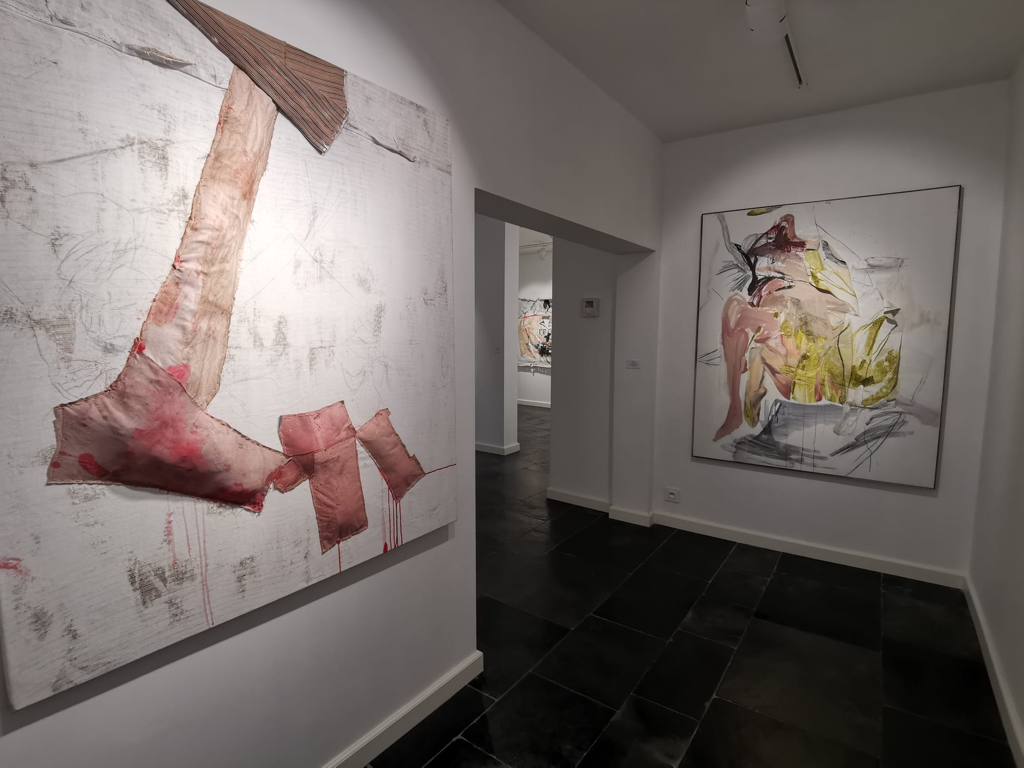 Installation view of Ruth Devriendt’s works Coupled (2022) and Ecrasithe (2024) at Black Swan Gallery during a walkthrough with Di Franco. Large mixed media canvases hang along a white corridor.