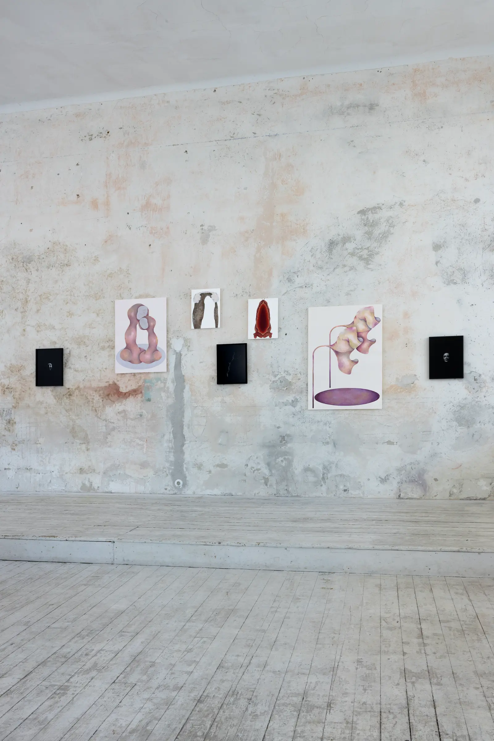 Wall view at Kunstverein Schattendorf with drawings by Georgia Creimer and photographic works by Anja Ronacher displayed above a light wooden floo