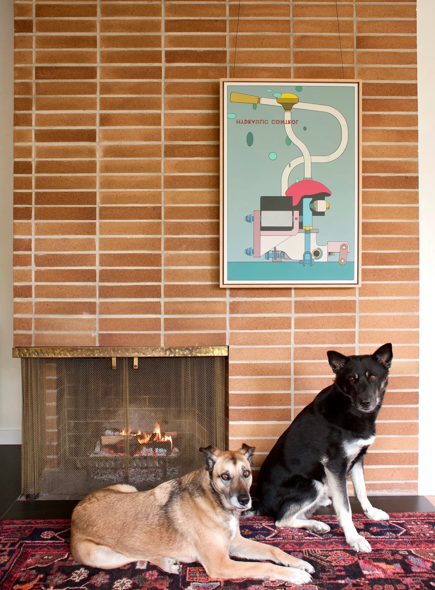 Two dogs, Laika and Bran, sitting on a rug in front of a fireplace beneath Chris Cassimatis’s painting ‘Hydrolic Control’ in 2024. Image Courtesy of the Artist.