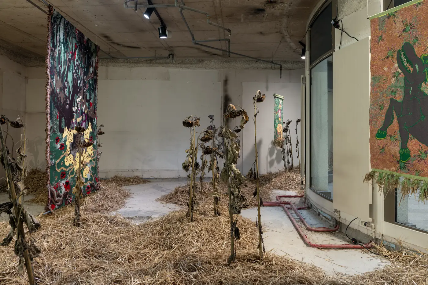 Detail view of Olivia Rode Hvass’s installation HUNT(ED) at Capsules, Luxembourg Art Week 2025. The scene shows dried sunflowers standing in straw around large woven tapestries depicting mythic figures and a rearing horse. Photographed by Patty Neu