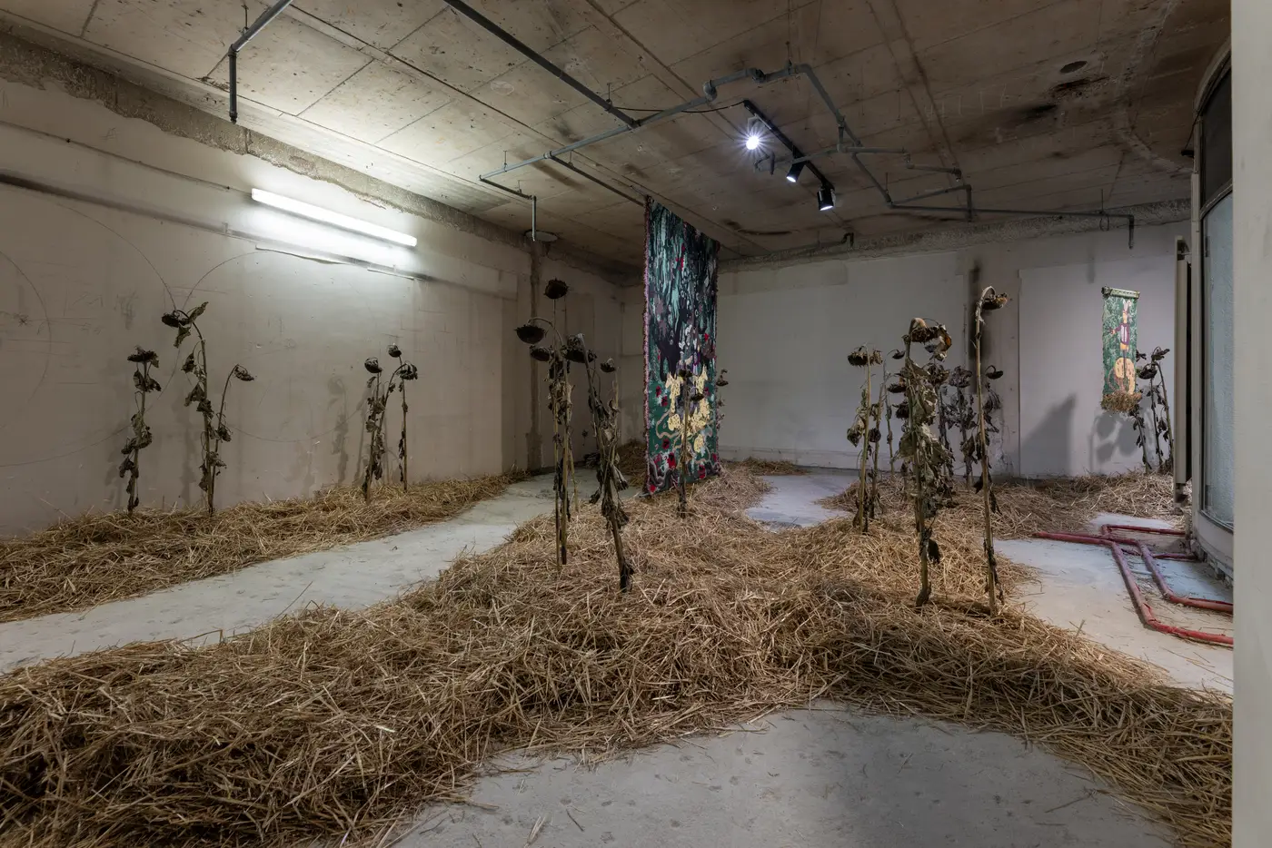 Installation view of Olivia Rode Hvass at Capsules, Luxembourg Art Week. Curated by Çağla Erdemir. Photograph by Patty Neu