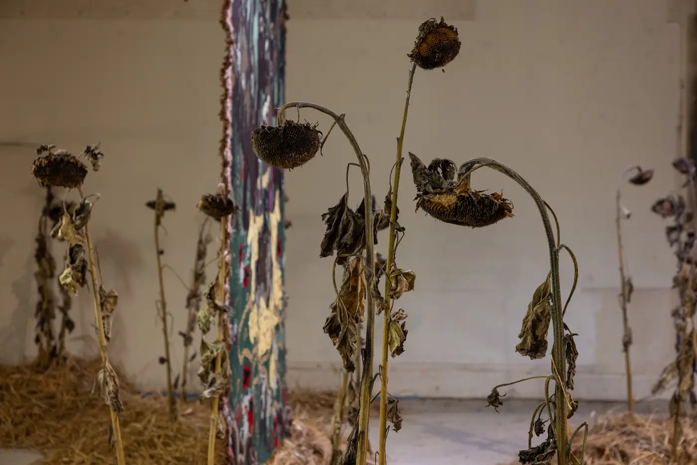 Close-up view of HUNT(ED), an installation by Olivia Rode Hvass showing intricate woven textures and natural materials. Photographed by Patty Neu.