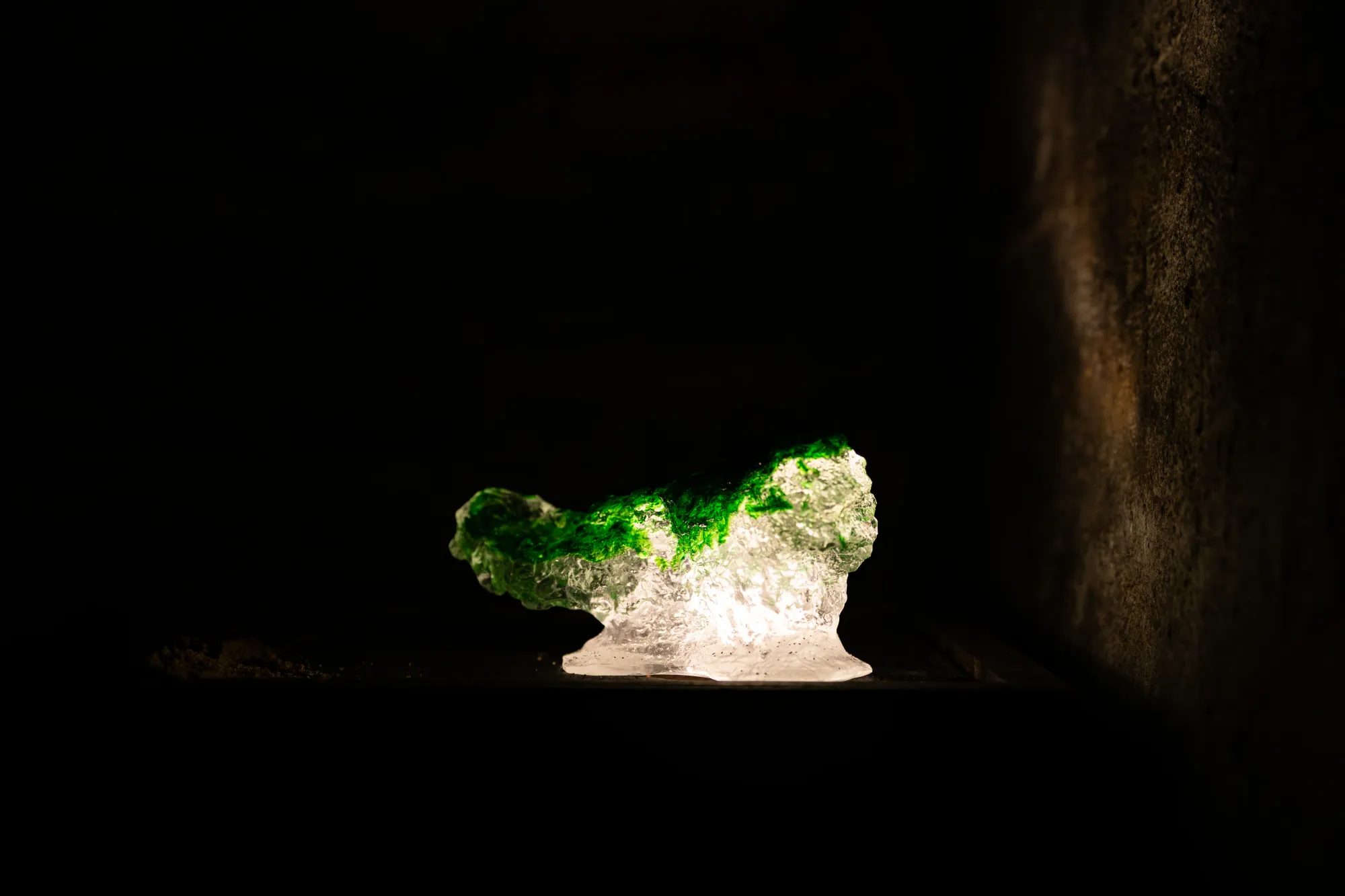 Installation detail from Epiphenomenon by Nadine Karl, showing a glass object with green material placed on a dark surface in a low-lit space.
