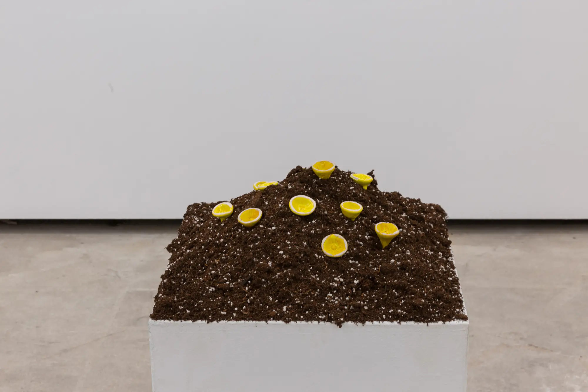Kyriaki Goni: Telling the Bees  at The Breeder gallery, Athens lemons in the exhibition and view into the show