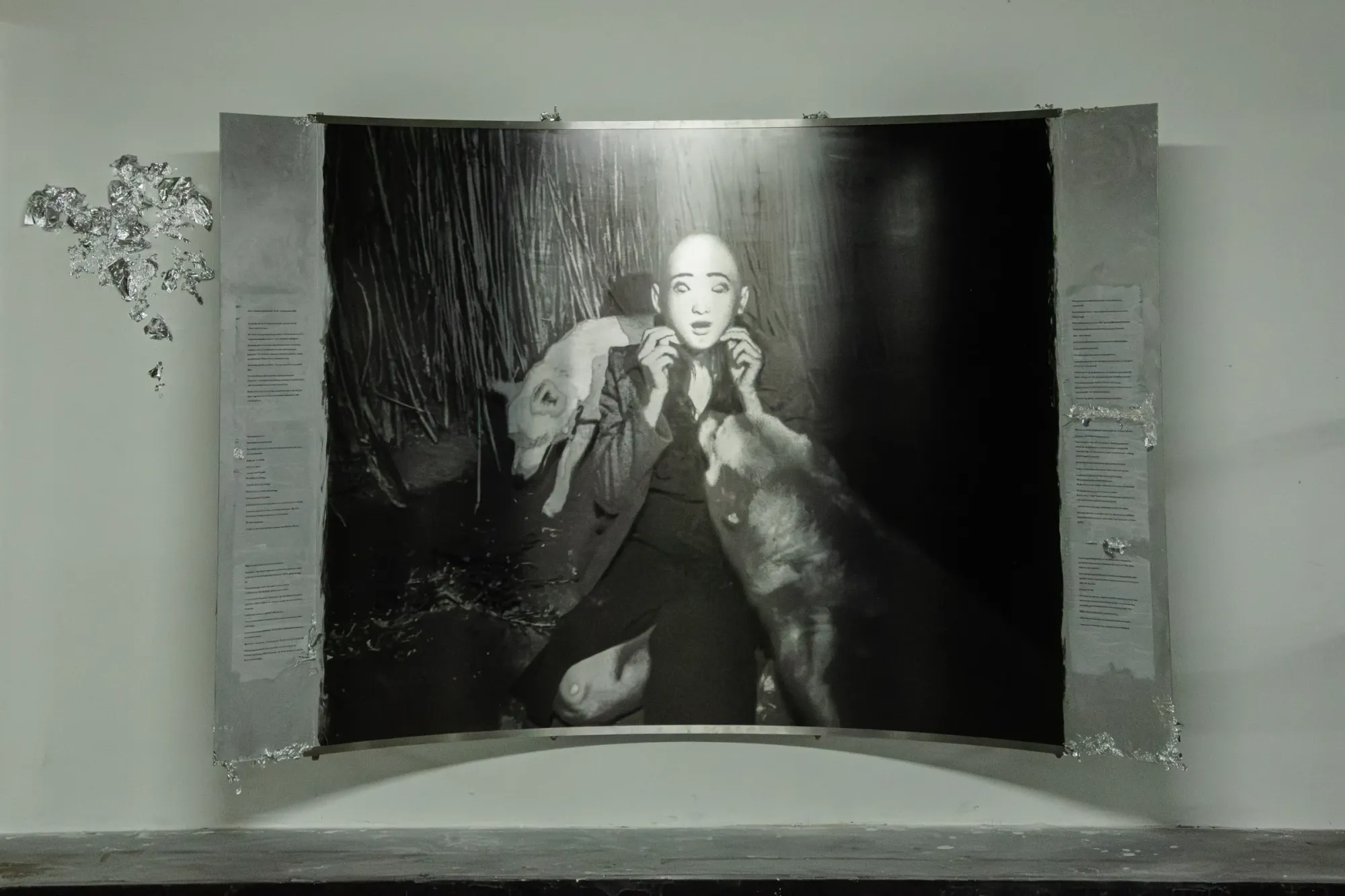 nadine Karl, emerging artist , Germany, aluminium and photography