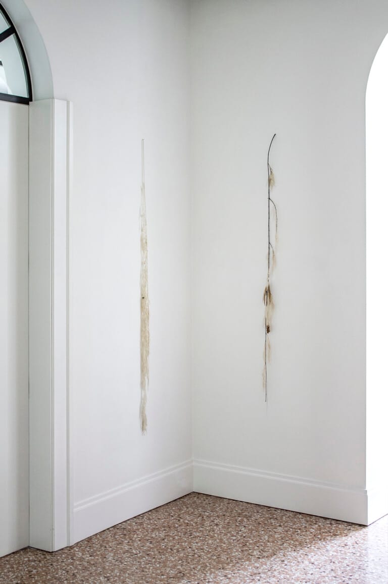 Luca Vanello Recurrent effervescence installation detail with suspended plant-based elements and minimal sculptural intervention in corner of gallery space