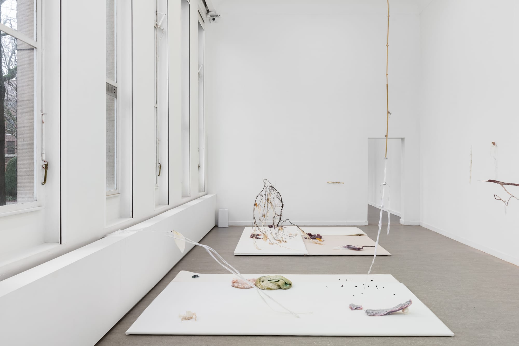 Luca Vanello installation Withering into breath, wetness undoes itself, spatial arrangement of organic and synthetic materials on floor platforms in a bright gallery interior