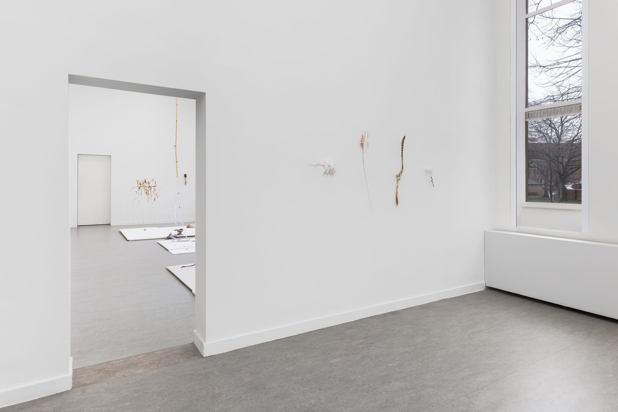 Luca Vanello installation view Withering into breath, wetness undoes itself, sculptural elements arranged across floor and walls in a minimal white exhibition space