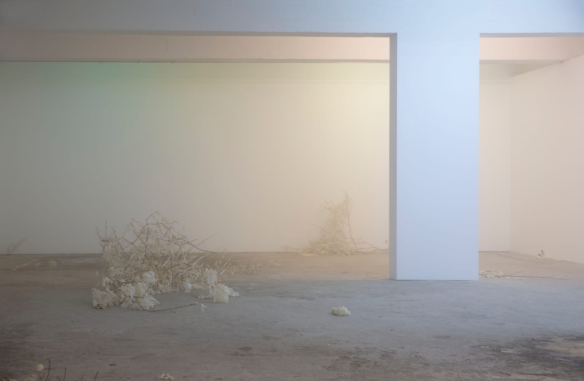 Luca Vanello installation Laying on a pillow, two black eyes, sparse sculptural elements of processed plants and translucent forms arranged on gallery floor with subtle light intervention