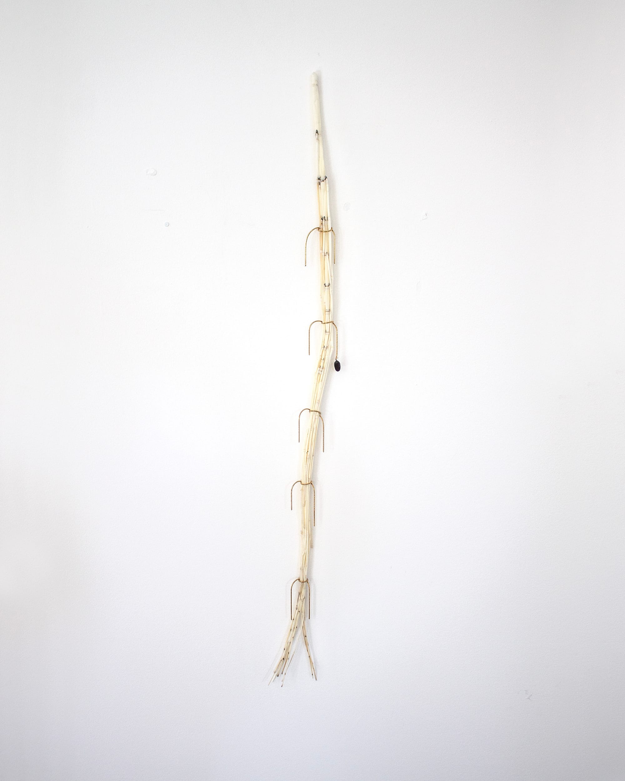 Luca Vanello wall-mounted sculptural elements combining processed plants and 3D printed forms, minimal organic structures suspended against white gallery wall