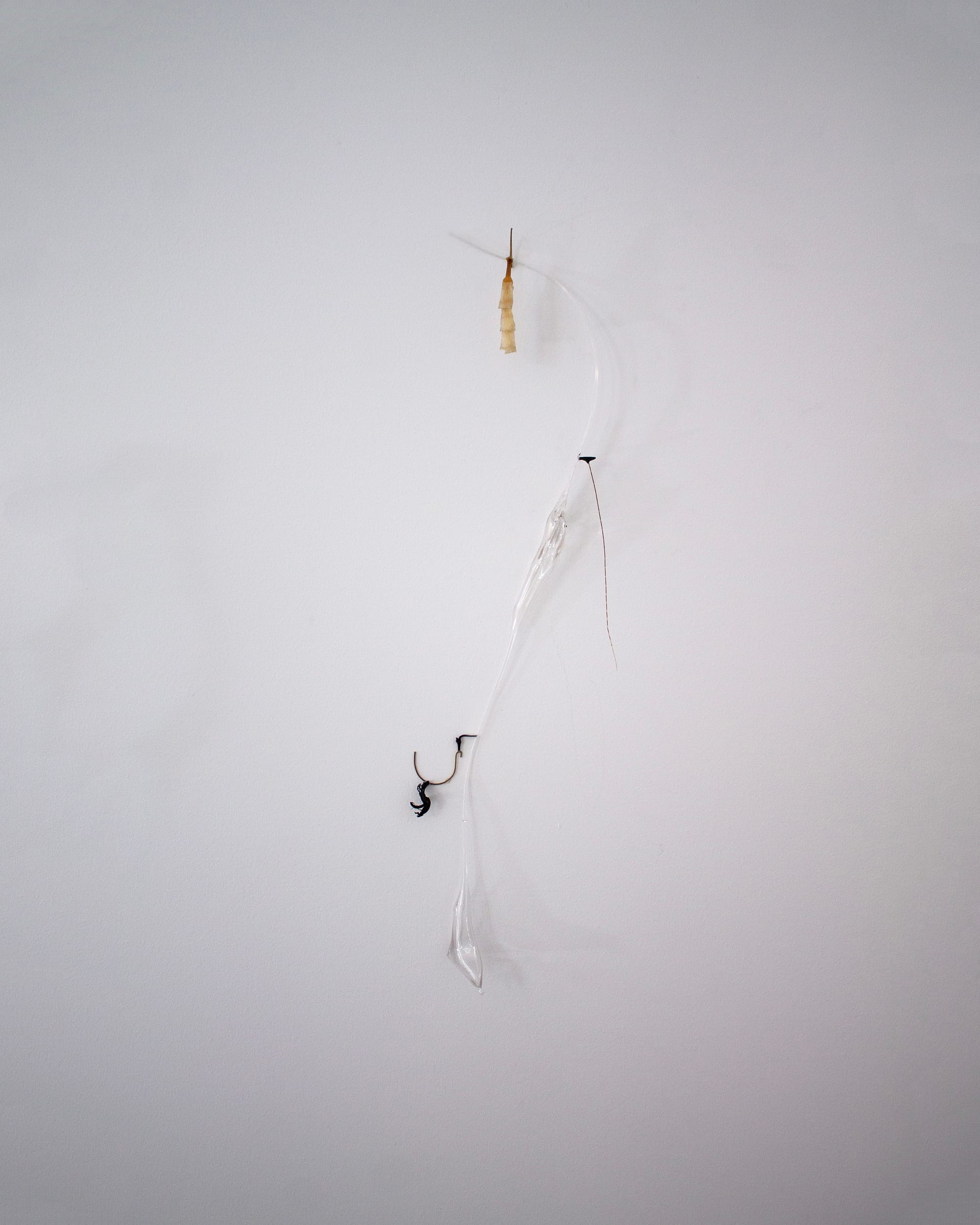 Luca Vanello sculptural detail from Spine accustoms epidermis, mocking eyes regenerate, delicate plant-based elements and 3D printed forms mounted on white wall