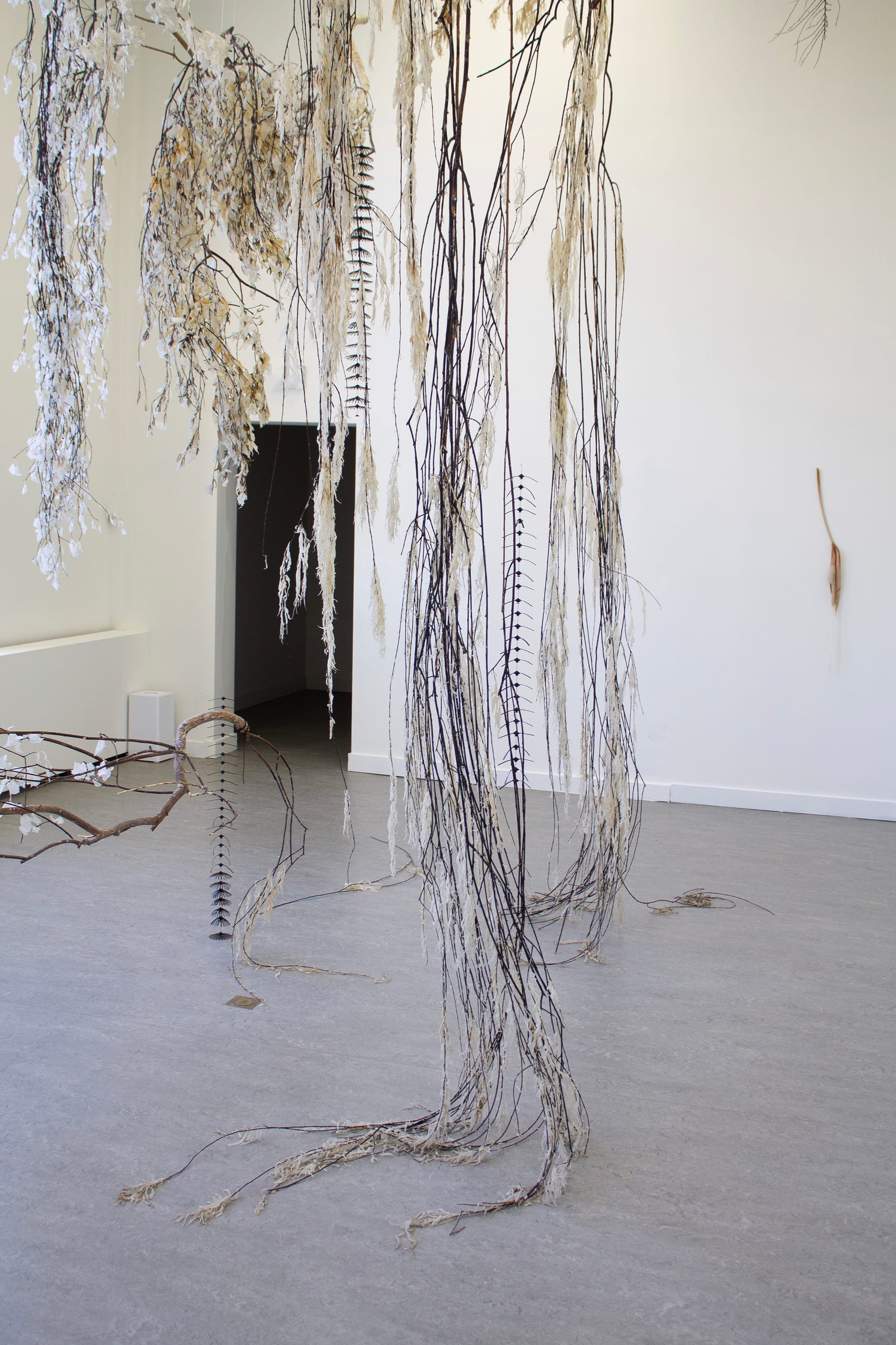 Luca Vanello installation Withering into breath, wetness undoes itself, suspended plant-based elements and humidity-responsive materials forming a delicate hanging structure in exhibition space