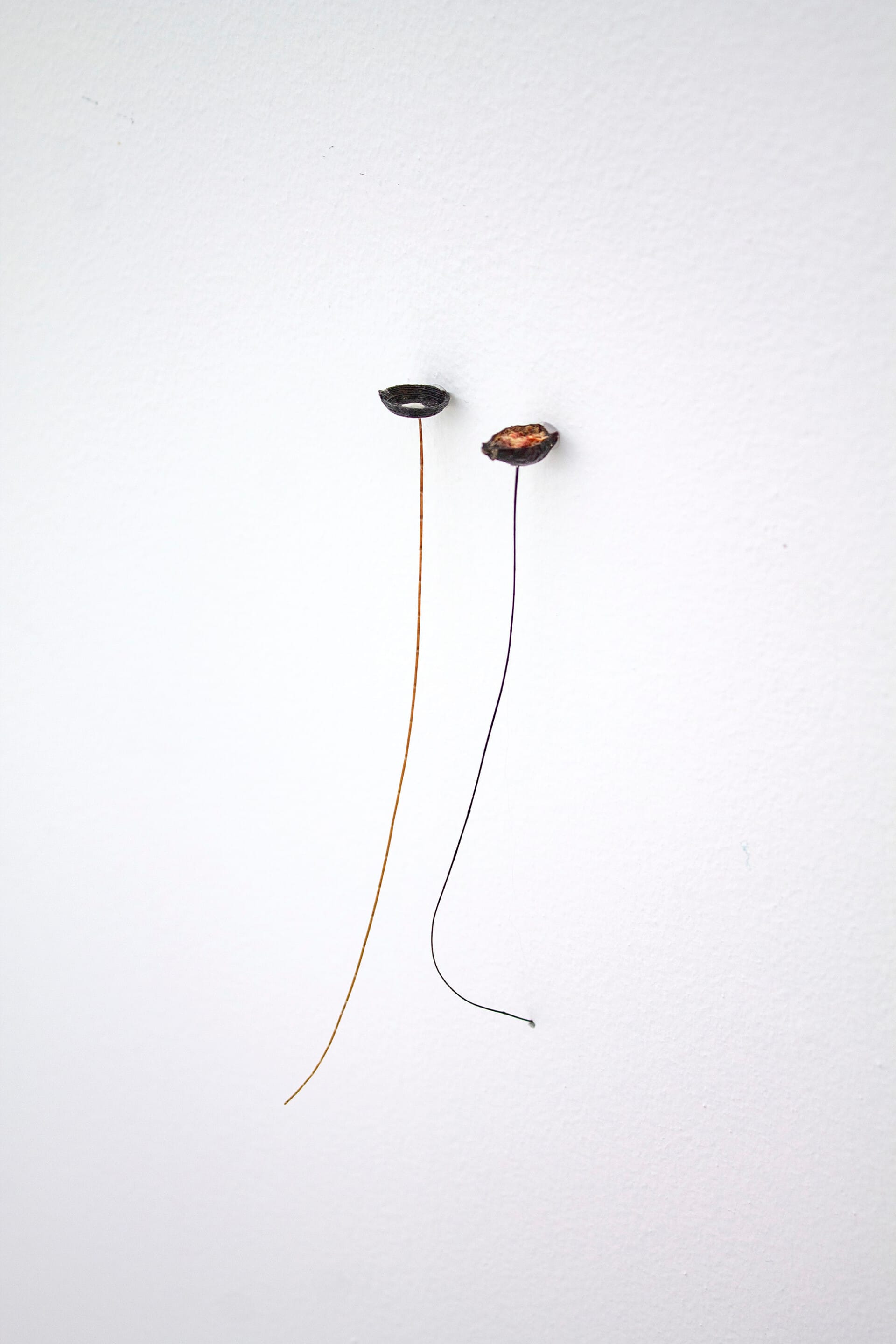 Luca Vanello, artwork, new artist you have to watch