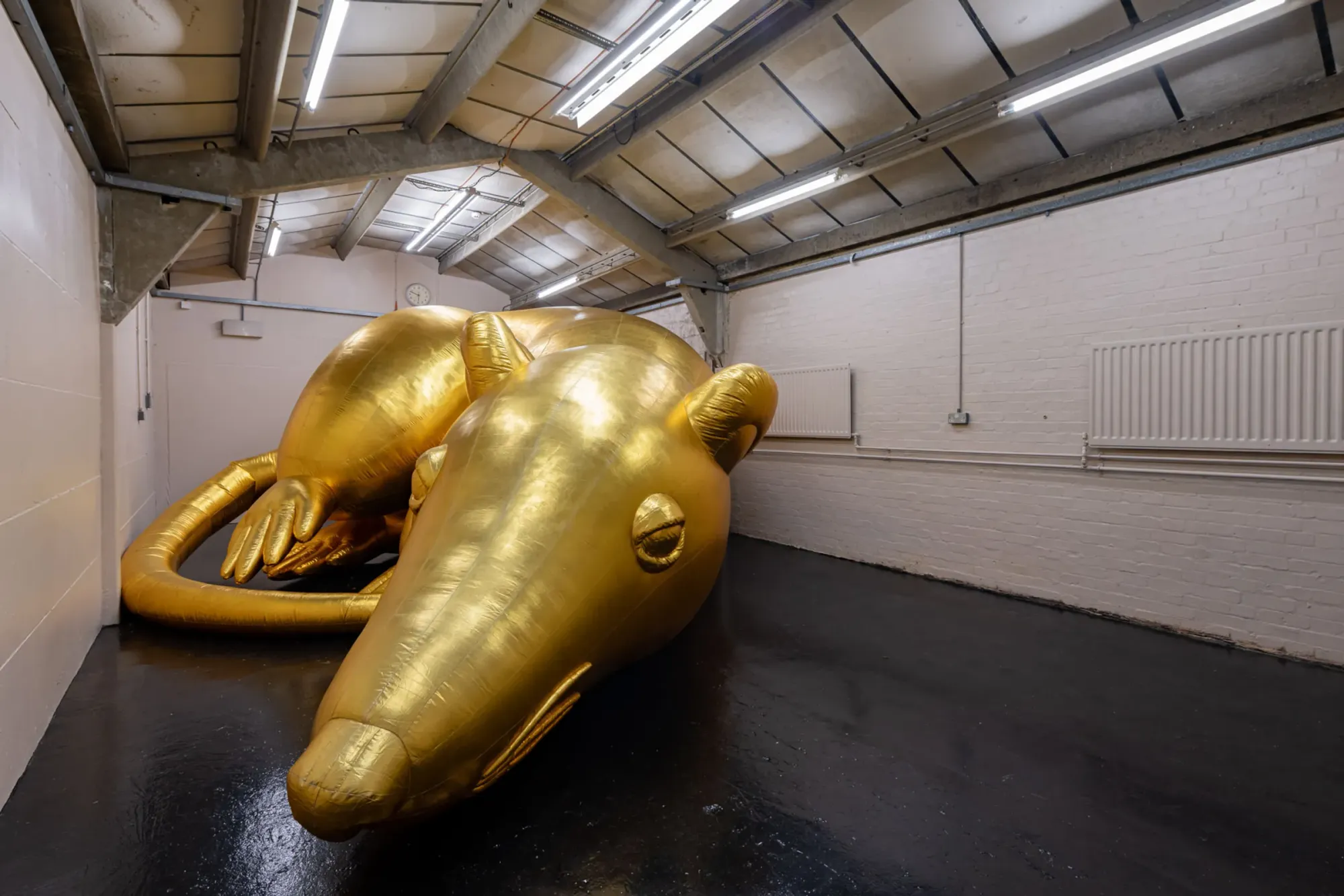 Large-scale gold inflatable rat by Esben Weile Kjær filling exhibition space, Lions at St. Chads Projects London