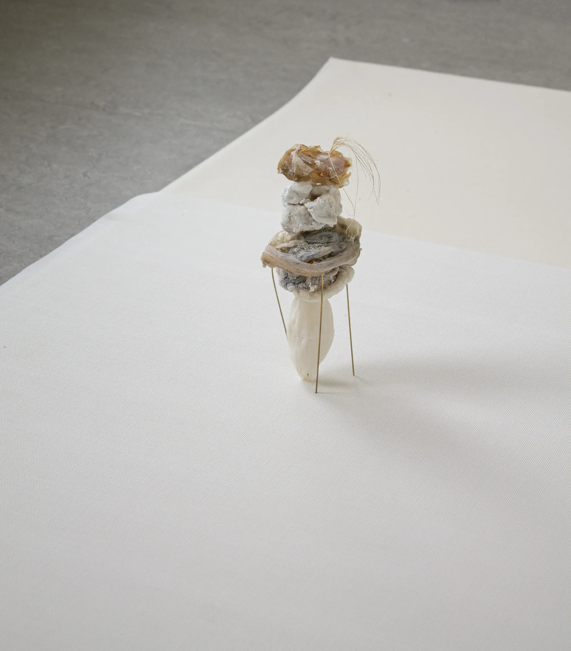 Luca Vanello small assembled sculpture combining organic materials and prosthetic elements on thin supports, installation at Z33 Hasselt