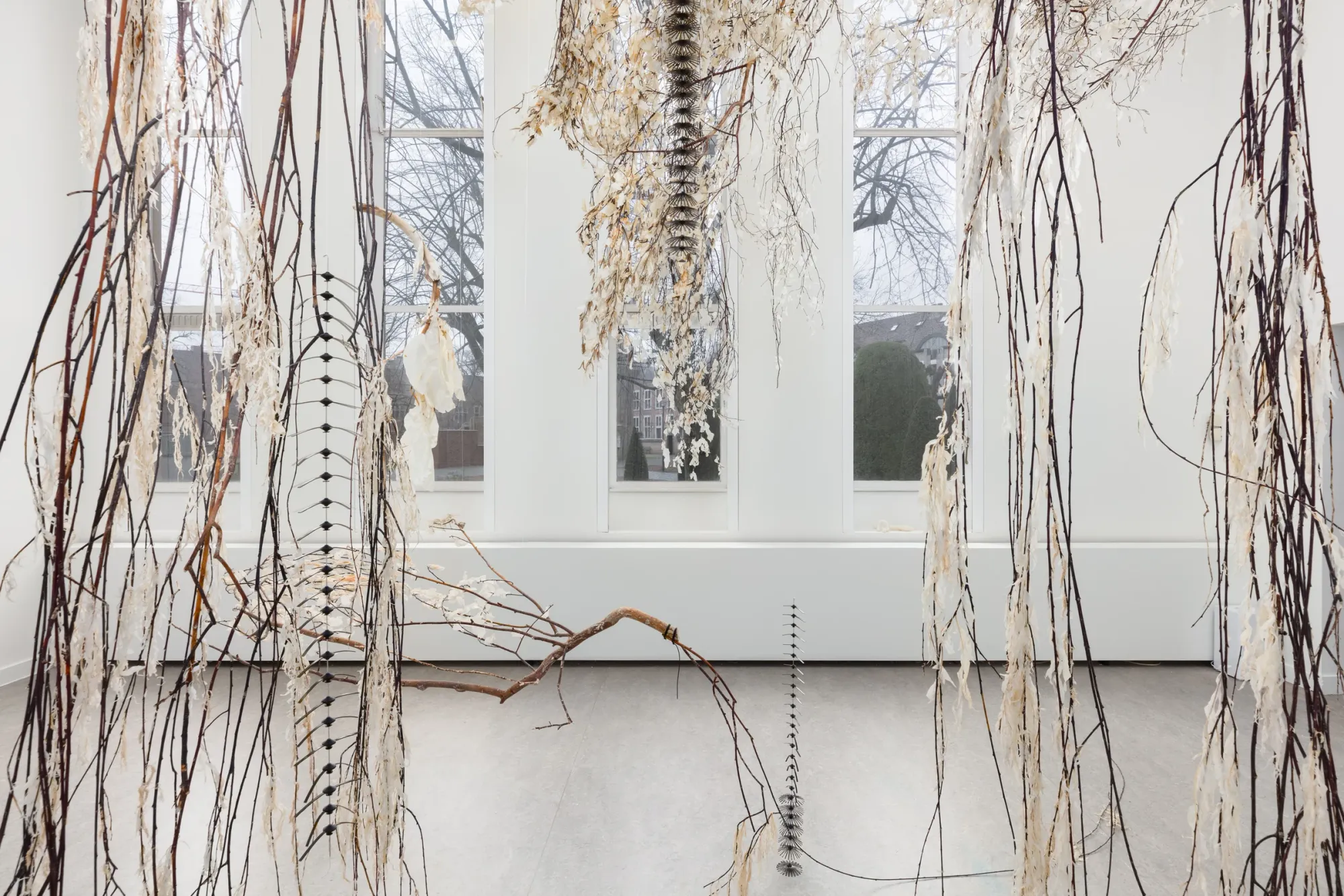 Luca Vanello installation detail with hanging dechlorophyll-treated plant structures and suspended organic elements at Z33 Hasselt