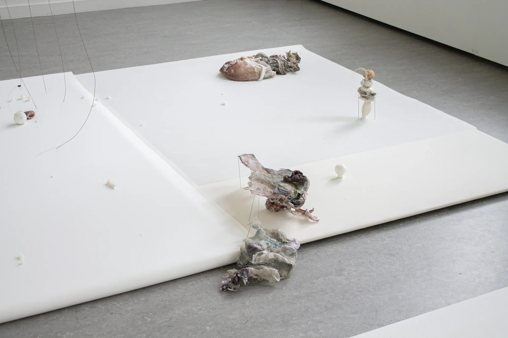 Luca Vanello installation detail at Z33 Hasselt showing organic and synthetic material forms including prosthetic elements and marine-derived structures on white pane