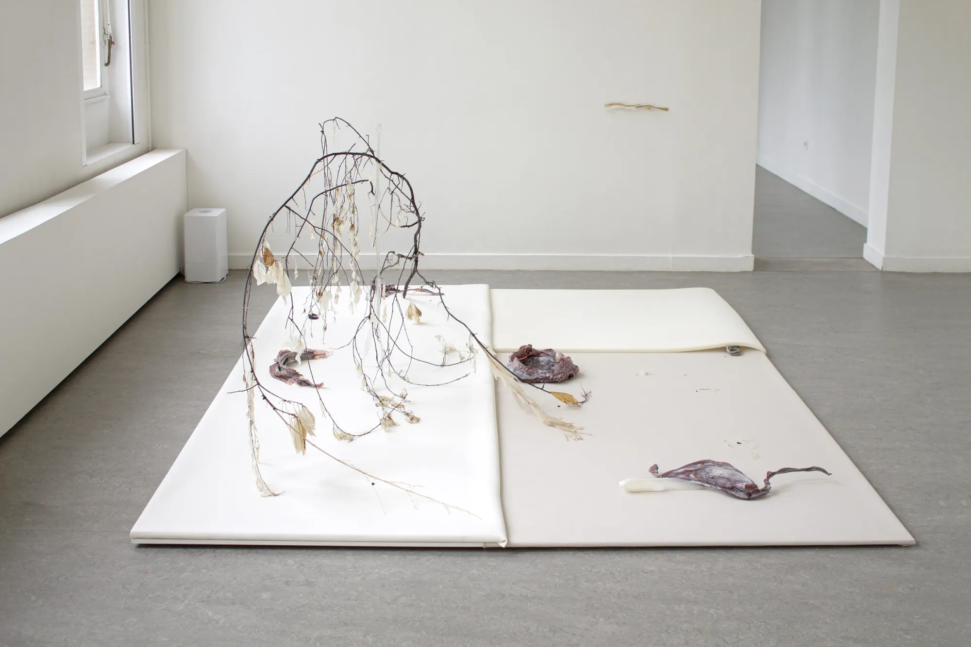 Luca Vanello installation view at Z33 Hasselt with dechlorophyll-treated plant structure and organic material elements arranged on white panels