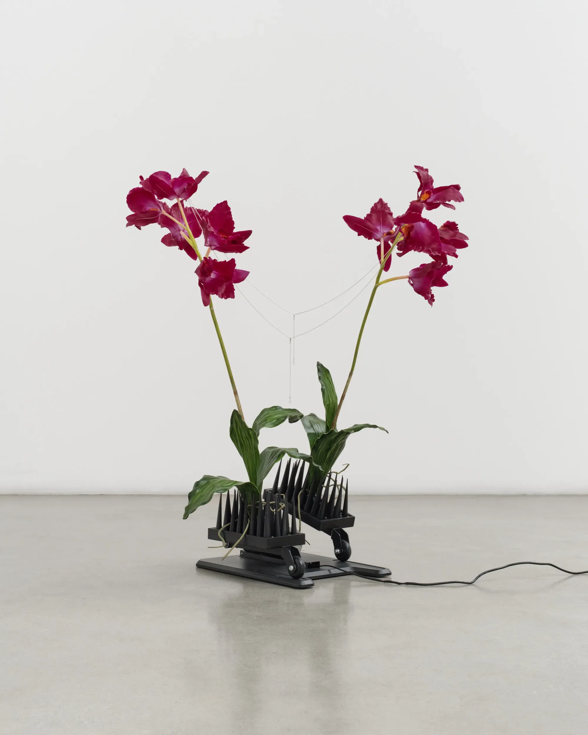 Rachel Youn, artwork ,  Perfect Lovers II, 2026 under-desk elliptical machine