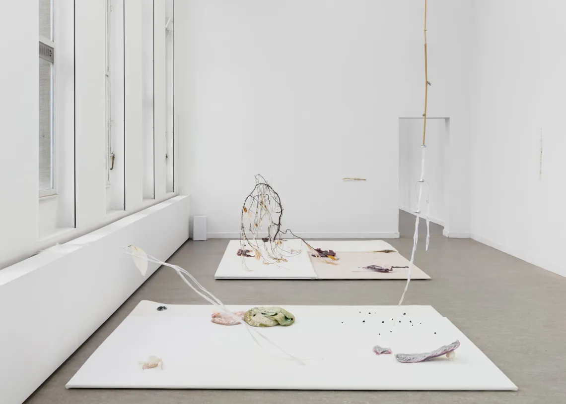 Luca Vanello installation view at Z33 Hasselt showing humidity-responsive materials, plant structures without chlorophyll, and medical prosthetic elements arranged on white panels