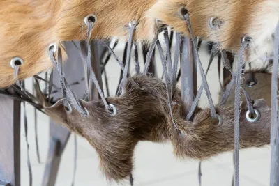 Dead Dogs Don´t Die , at Slug Leipzig and curated by Colette Patterson 7 artists about grief, heal and paradox