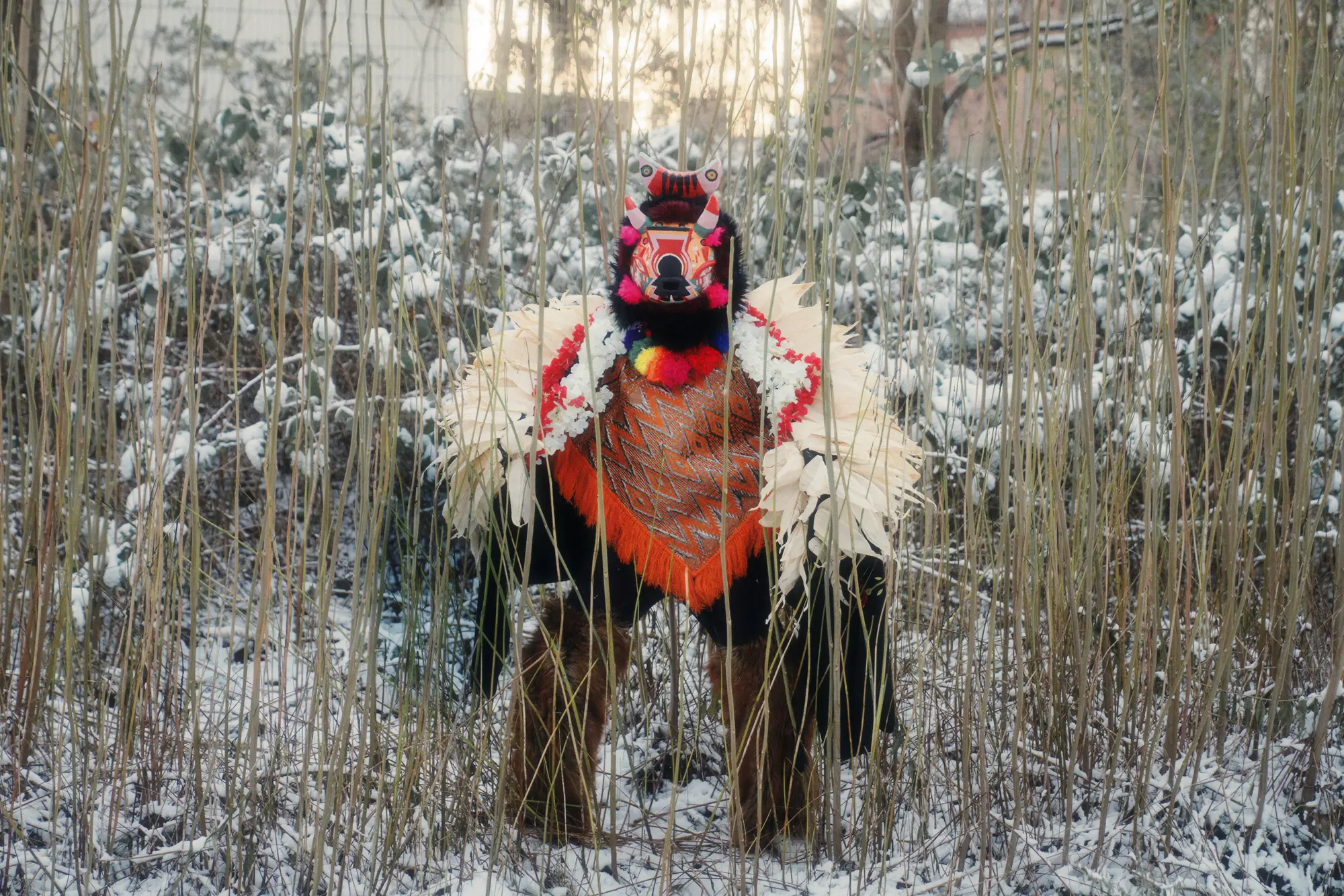 Bridging Worlds: How Jumu Monster Transforms Indigenous Heritage into Contemporary Art