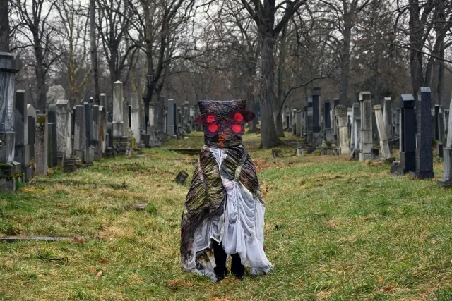 Igigo Wu: The Trauma Wears Wings